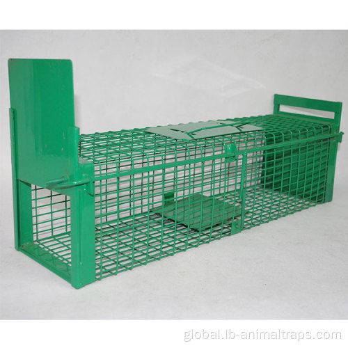 Humane Mouse Trap Smart Pest Control Rat Mouse Trap Supplier